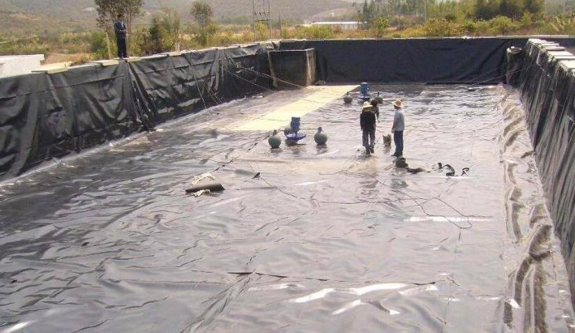 �L�z�����������O(sh��)���ܱ����ܵ��p��